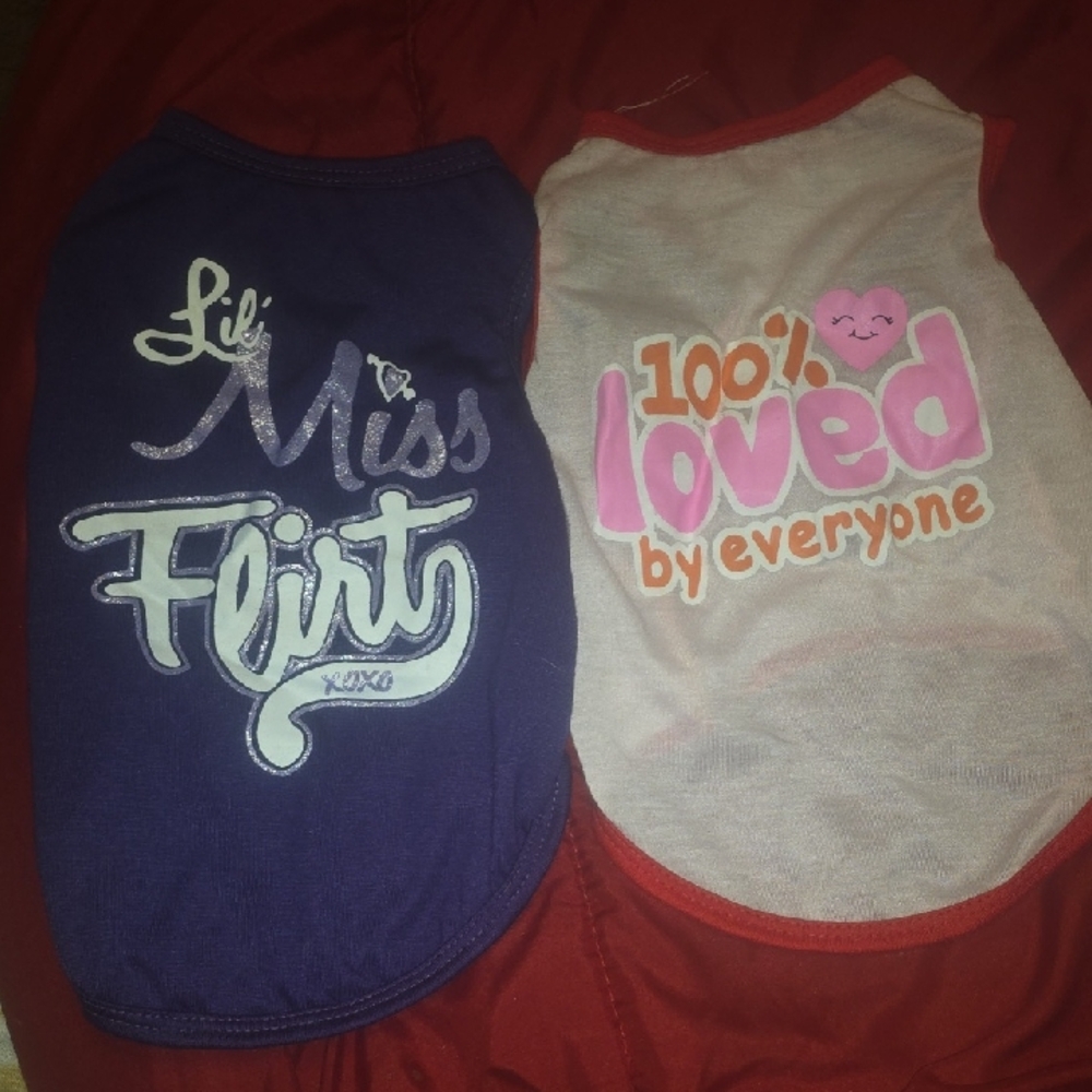 Small Dog Clothes
